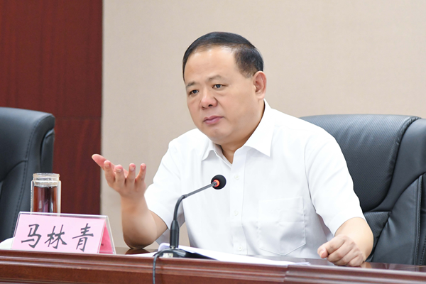 省政府食安辦主任、省市場(chǎng)監(jiān)管局書(shū)記馬林青講話(huà)